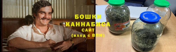 ПСИЛОЦИБИНОВЫЕ ГРИБЫ Белокуриха