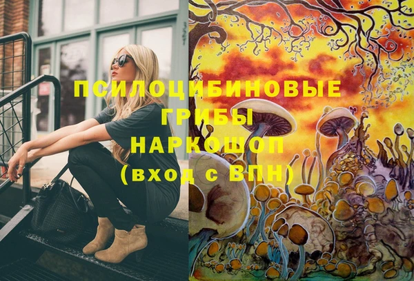 ПСИЛОЦИБИНОВЫЕ ГРИБЫ Белокуриха