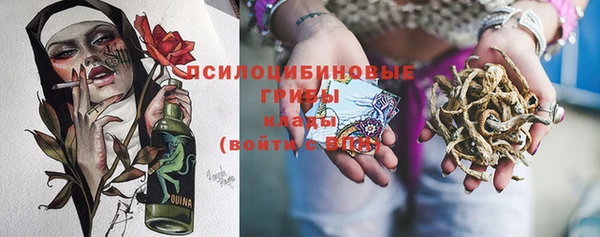 ПСИЛОЦИБИНОВЫЕ ГРИБЫ Белокуриха
