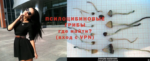 ПСИЛОЦИБИНОВЫЕ ГРИБЫ Белокуриха